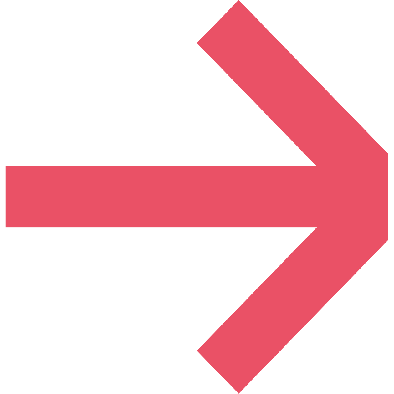 Advies_1_rood