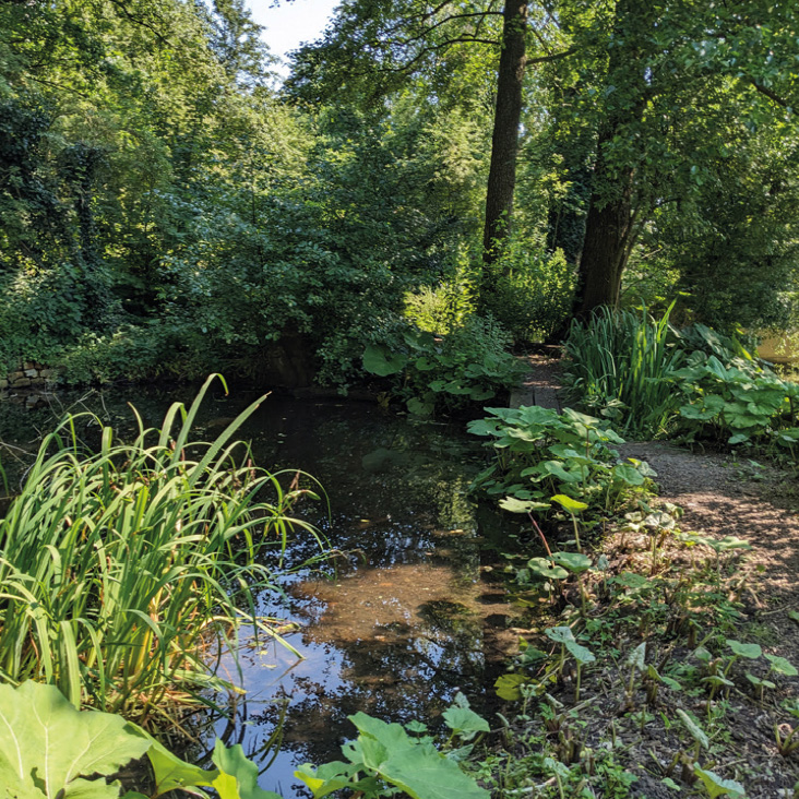 1 Overzicht bestaande soorten groen