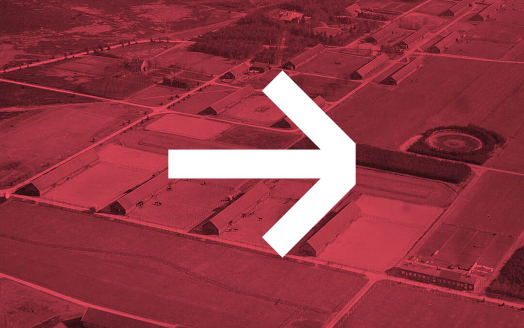 Kamp Nieuw Milligen Uddel